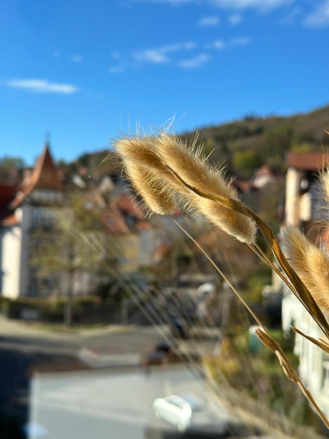 Appartamento Turm.Blick Goslar Esterno foto